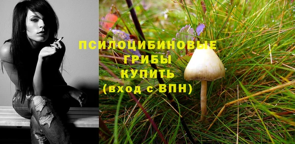 spice Белокуриха